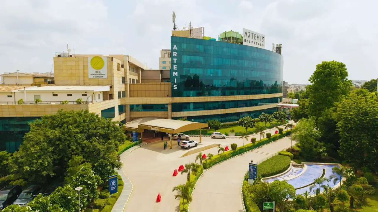 Artemis Hospital